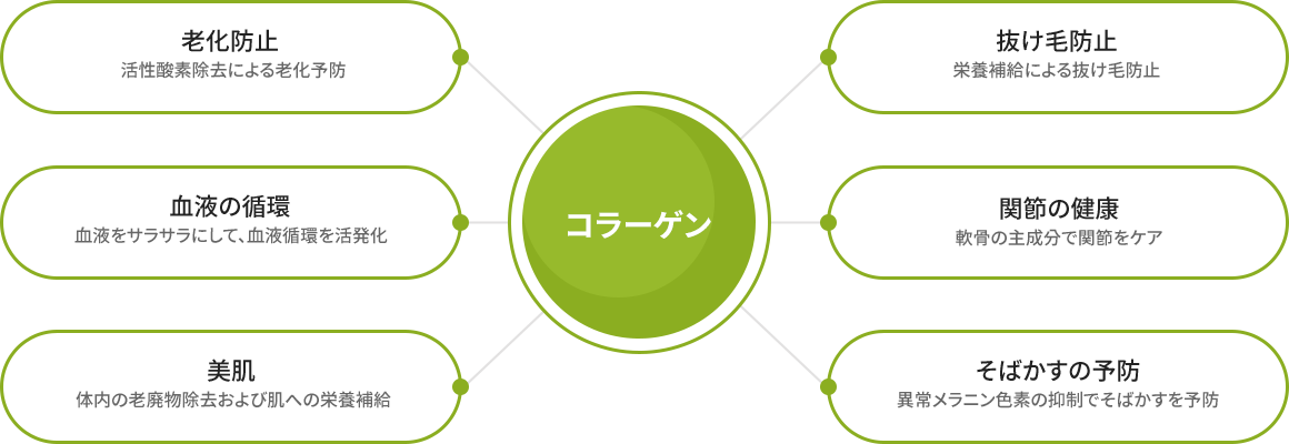 collagen_jp collagen