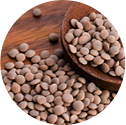 ingredient_img_01 Lentils