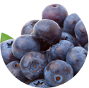 Blueberries