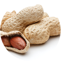 ingredient_img_26 Peanuts
