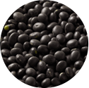 Black Beans