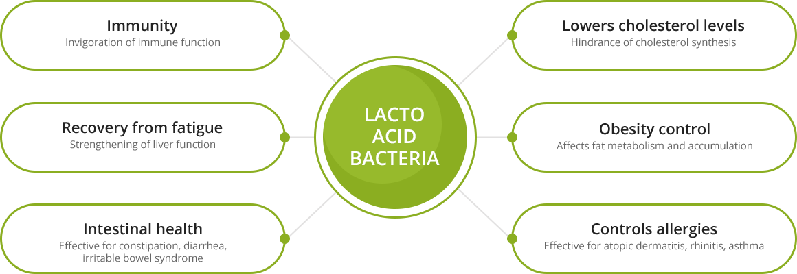 Effects of Lacto acid bacteria