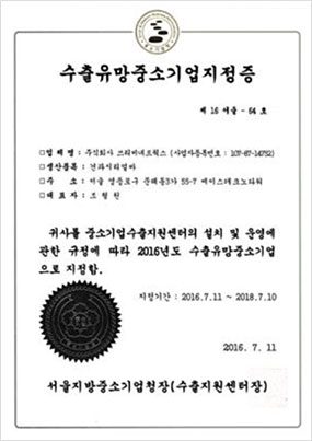 Certification of Most Promising Small Company in Exports