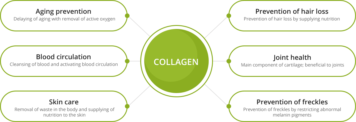 Effects of Collagen