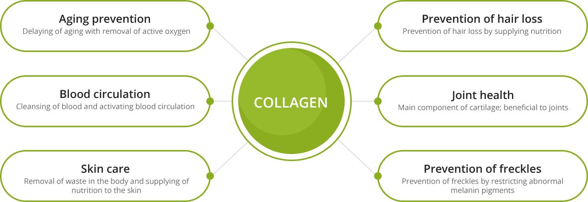 collagen Effects of Collagen