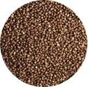 Perilla Seeds