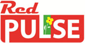 Red Pulse Red Pulse
