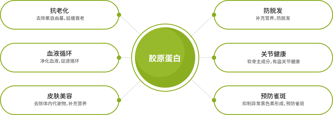collagen_zh collagen